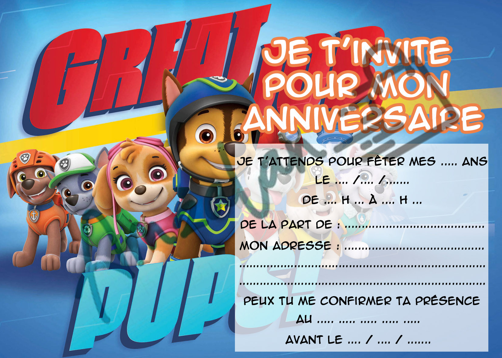 Lot De 6 Cartes Invitations Anniversaire Enfant Pat Patrouille Paw