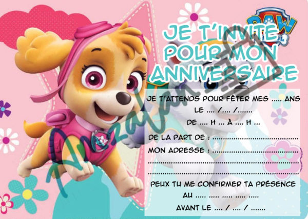 Lot De Cartes Invitations Anniversaire Enfant Stella Pat Patrouille