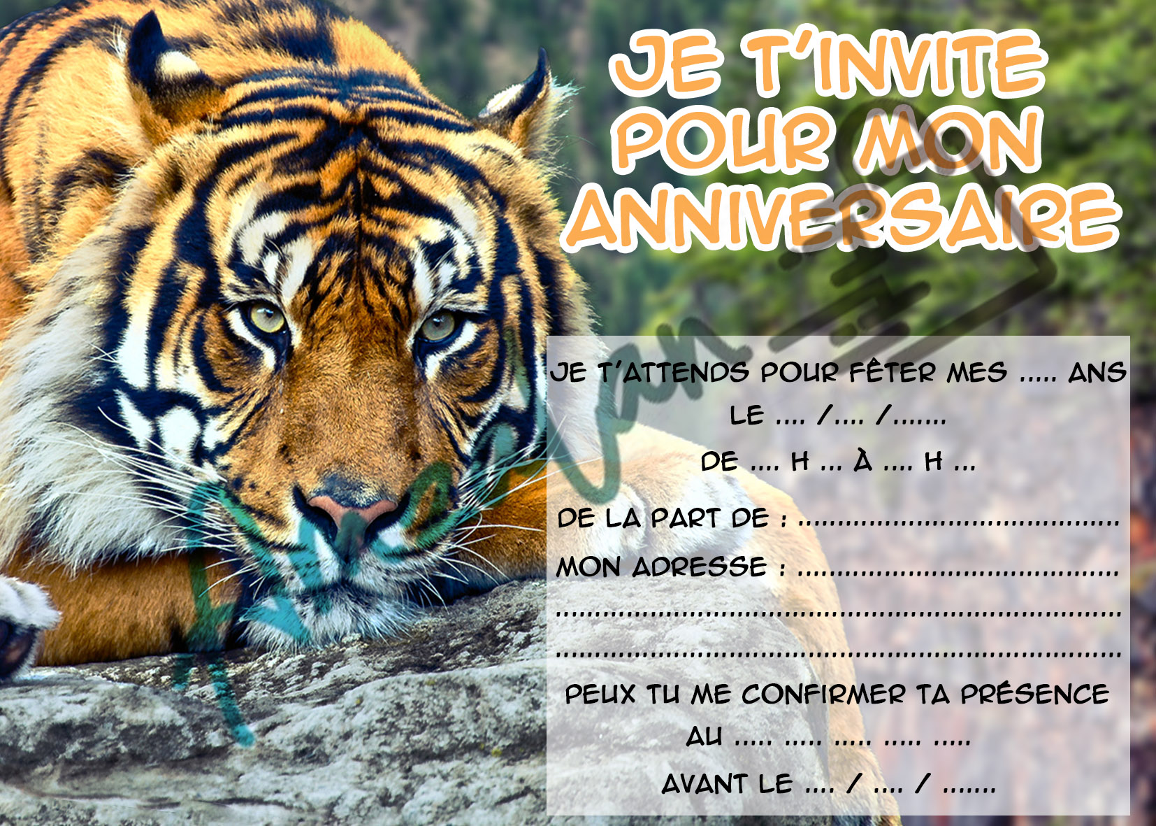Cartes d'invitation anniversaire / Tigre - L' instant Poétique