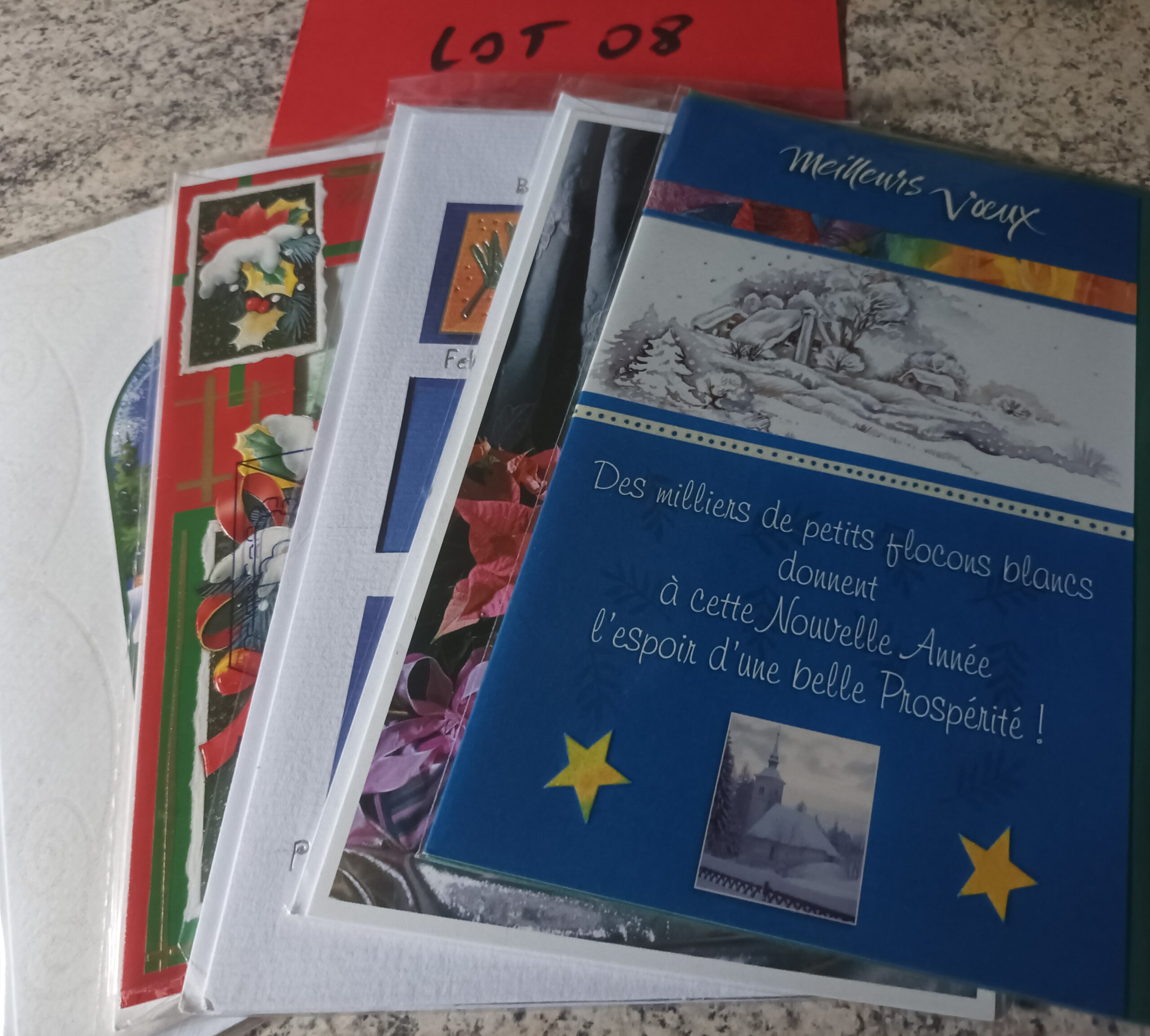 Lot de 5 cartes postales avec enveloppes meilleurs vœux (lot 08)