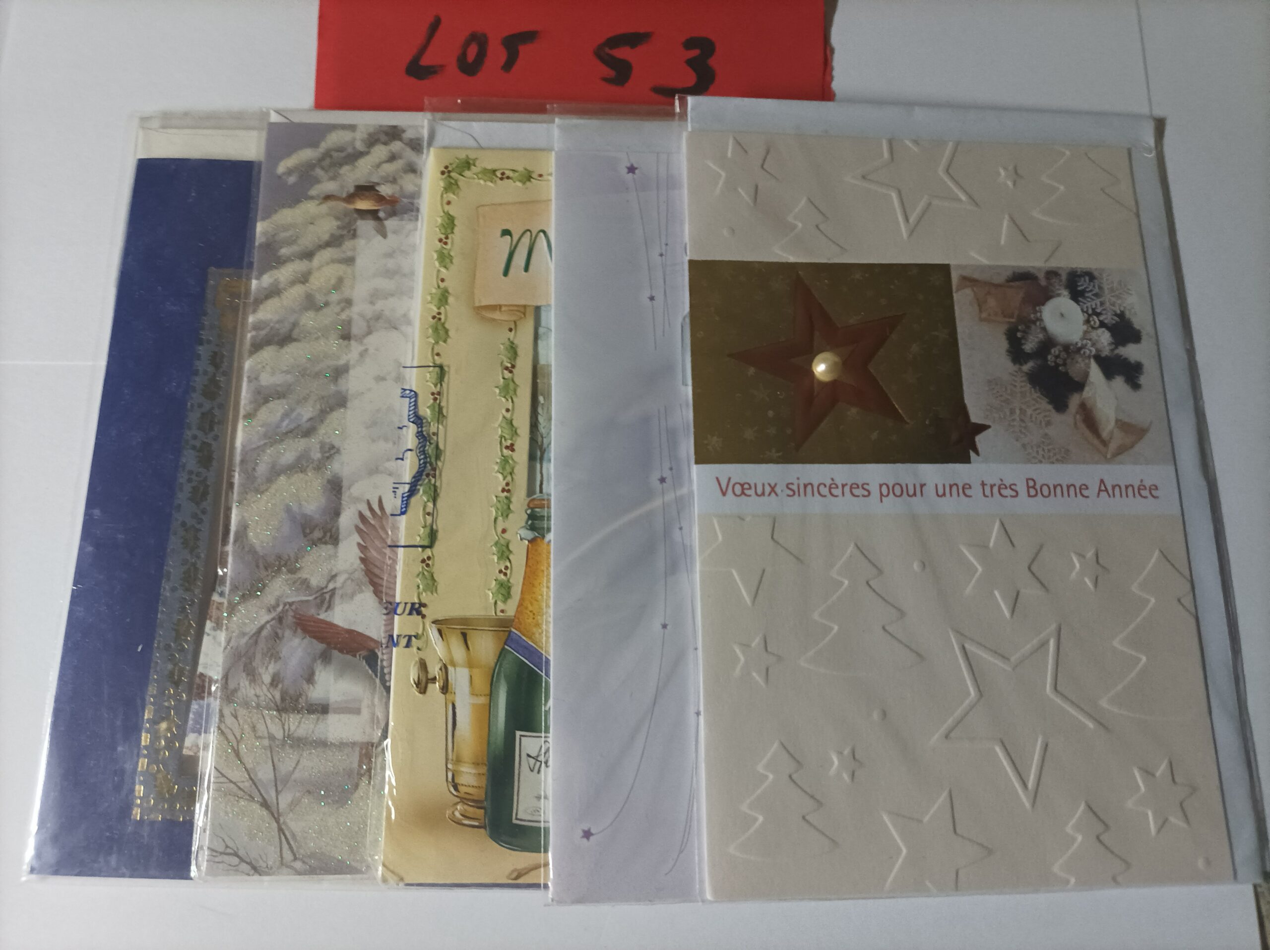 Lot de 5 cartes postales doubles avec enveloppes meilleurs vœux (lot 53)