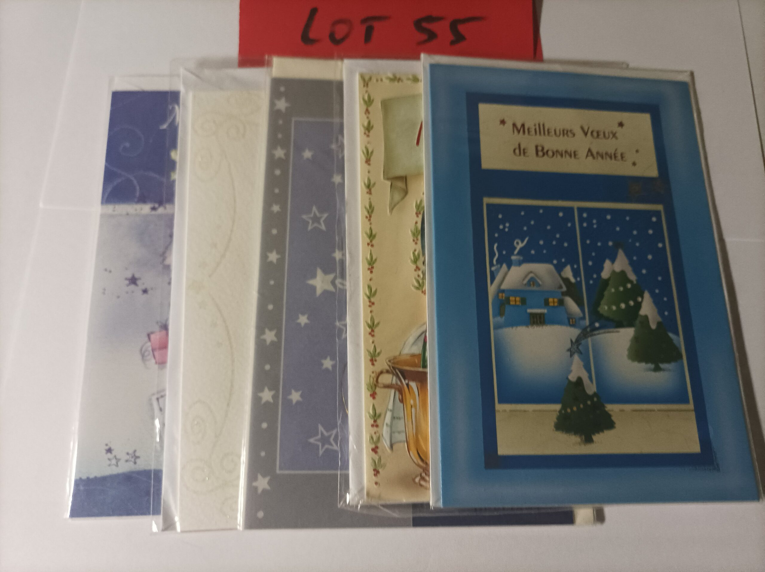 Lot de 5 cartes postales doubles avec enveloppes meilleurs vœux (lot 55)