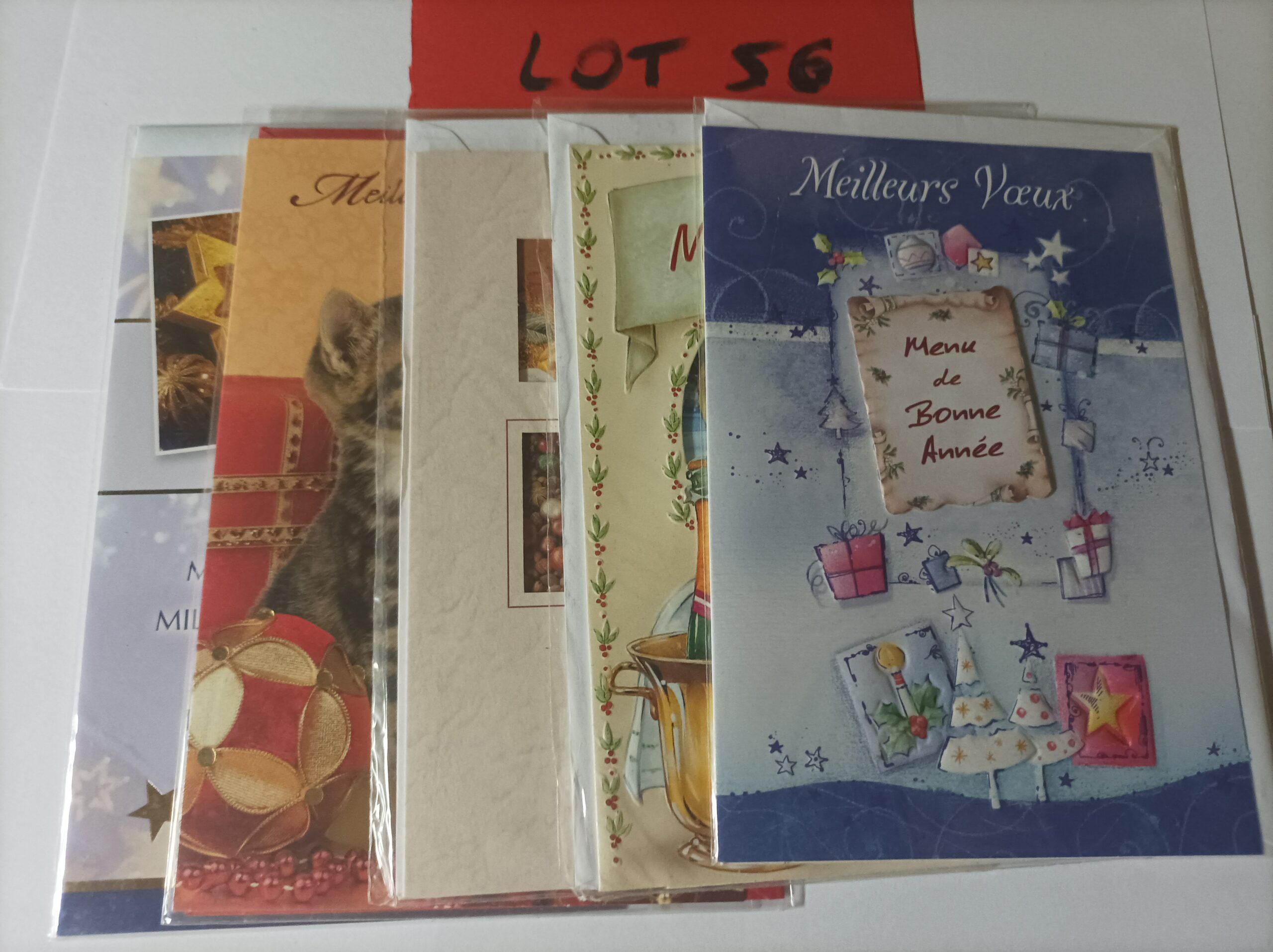 Lot de 5 cartes postales doubles avec enveloppes meilleurs vœux (lot 56)