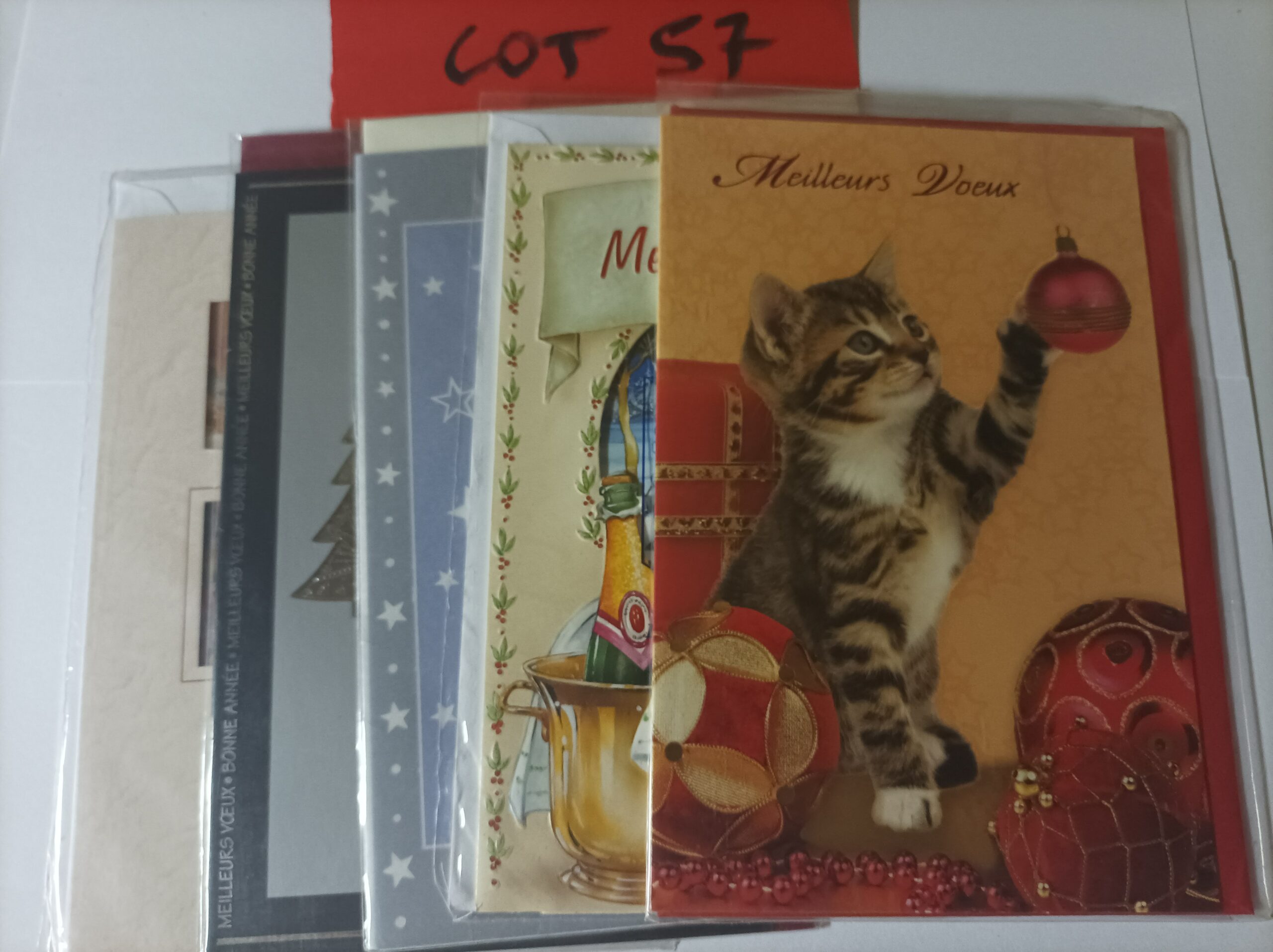 Lot de 5 cartes postales doubles avec enveloppes meilleurs vœux (lot 57)