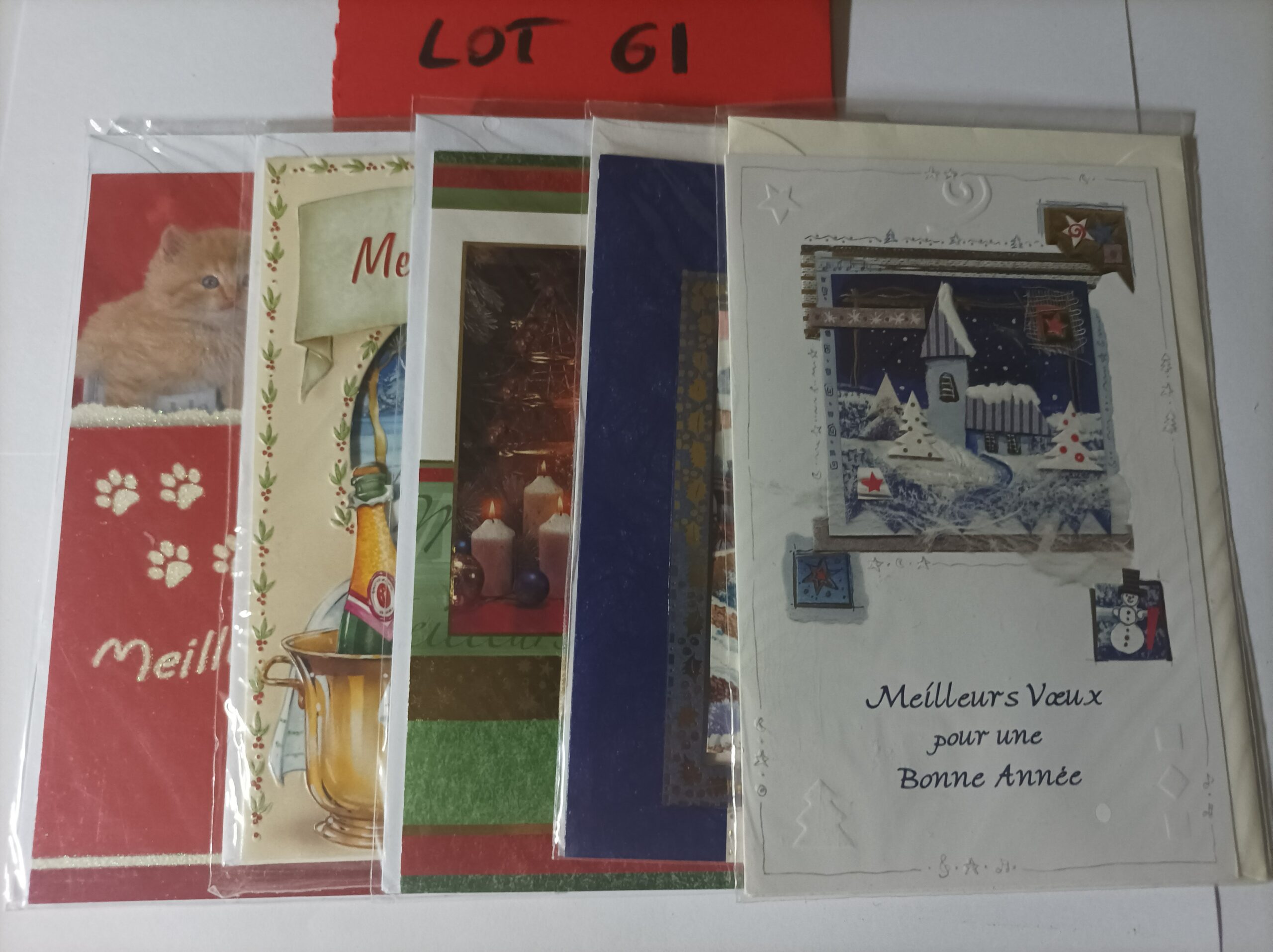 Lot de 5 cartes postales doubles avec enveloppes meilleurs vœux (lot 61)