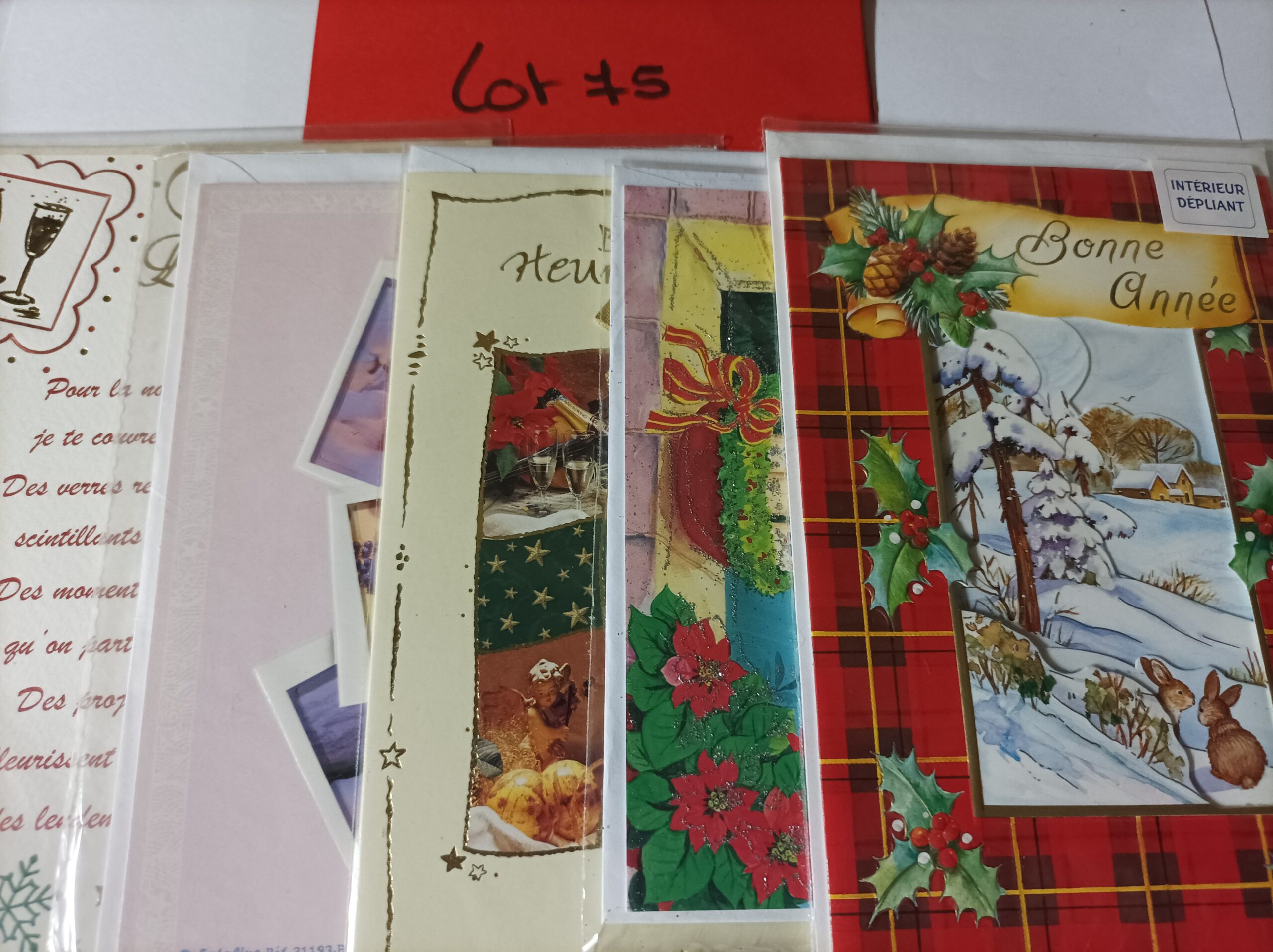 Lot de 5 cartes postales + enveloppes bonne année (lot 75)